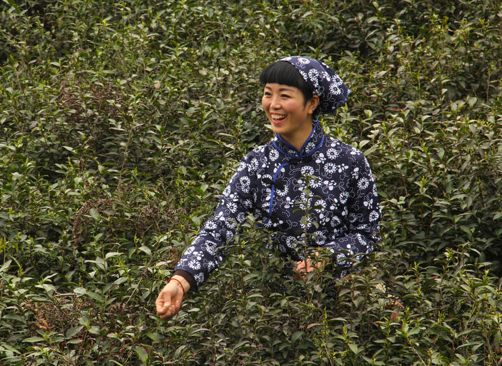 更新2